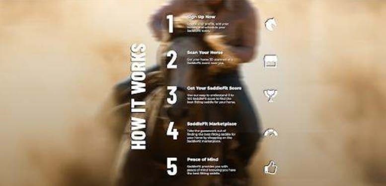 SaddleFit five-step fitting process